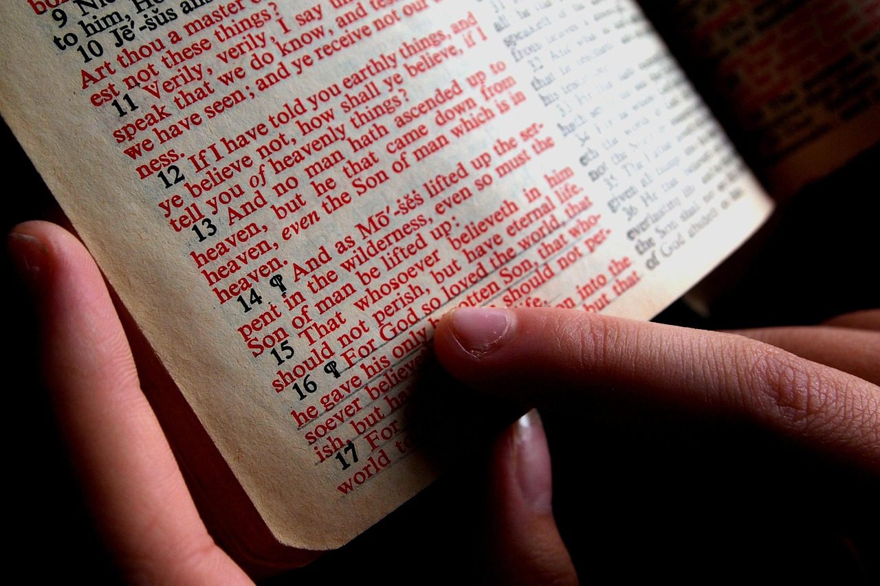 Jesus, Our Shepherd: Bible Study – 16 June 2024